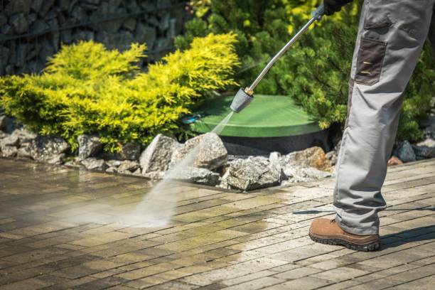 Best Driveway Pressure Washing  in Summit, MS